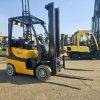 Yale GLP 20 VX